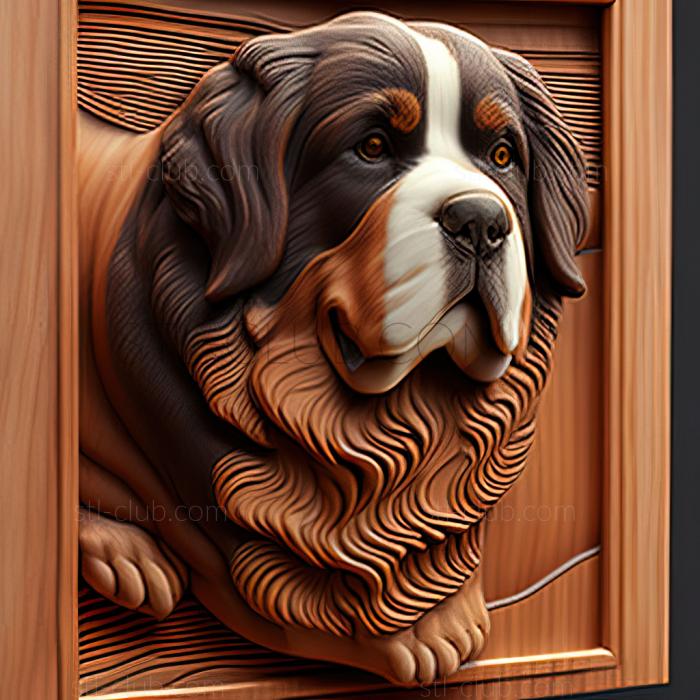 3D model st Bernese Mountain dog (STL)